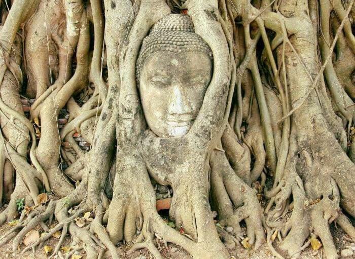 Chanida Home Phra Nakhon Si Ayutthaya Exteriör bild